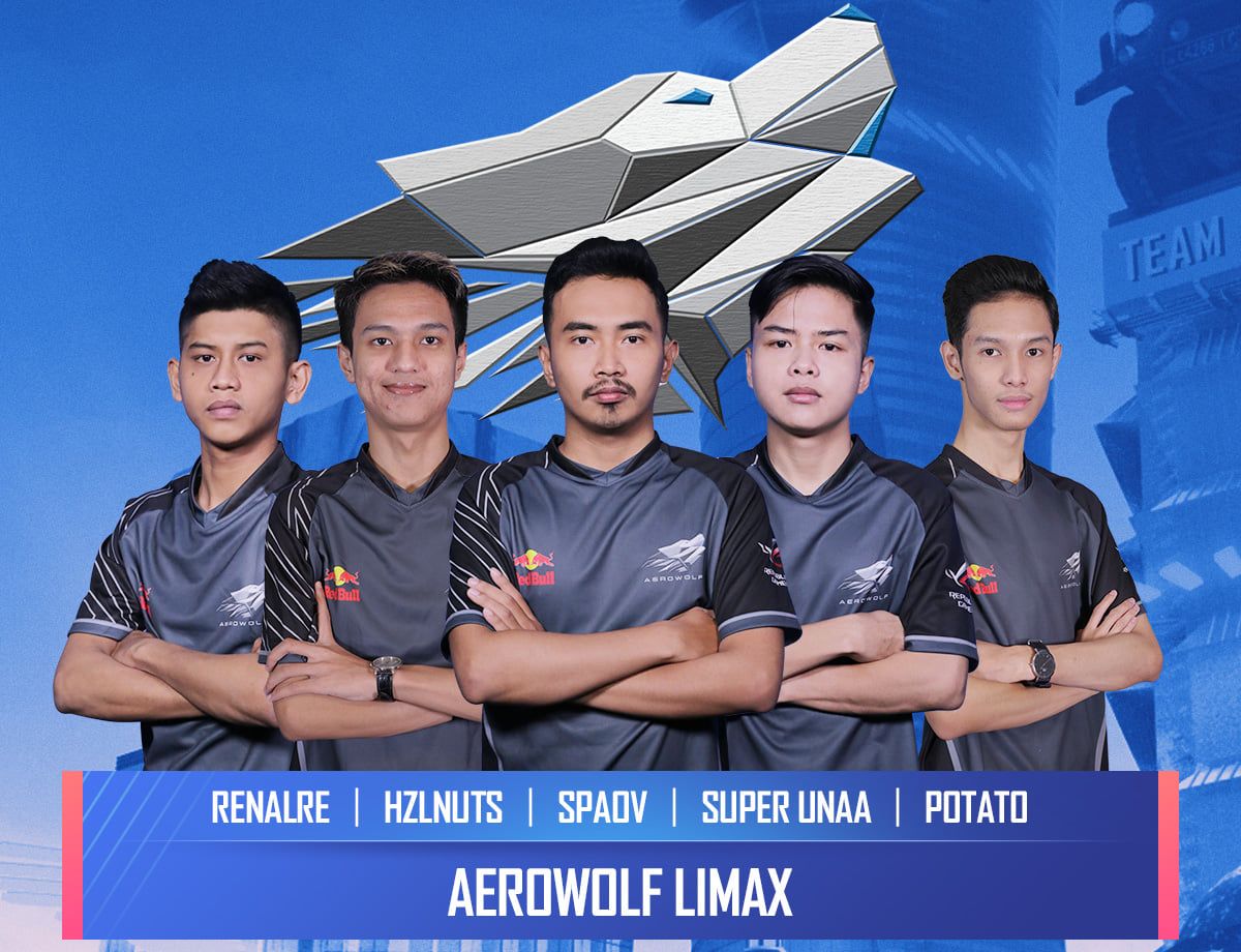 Team Aerowolf